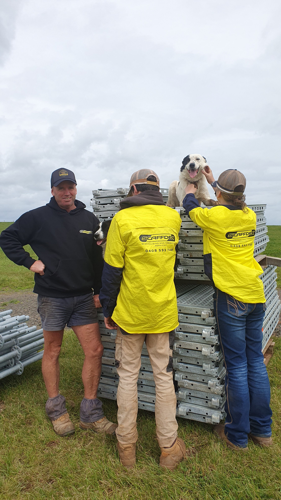 Scaffdex Scaffolding and Formwork Services Partner and Director Martin Patterson pictured with scaffolding components, employees and two border collie dogs.